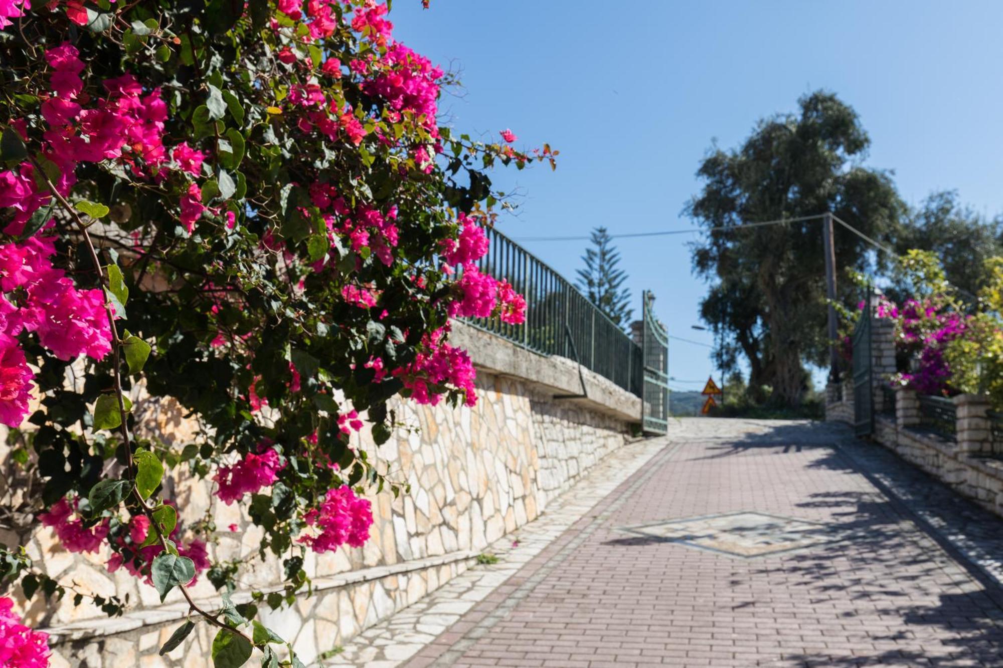 Villa Anthoussa In Palaiokastritsa Exterior photo